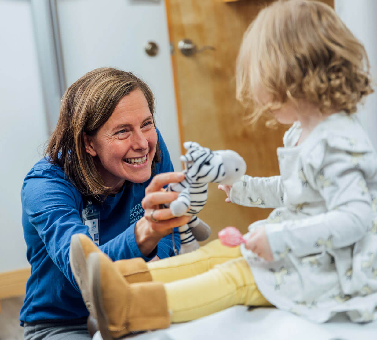 Doctor, Patient, and Zebra