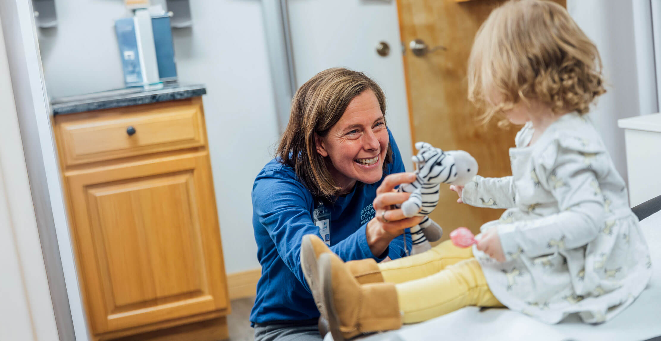 Doctor, Patient, and Zebra
